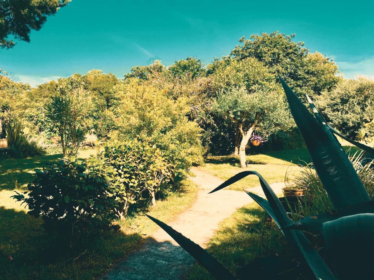 Quinta Das Almas Са́н-Ро́ке-ду-Пі́ку Екстер'єр фото