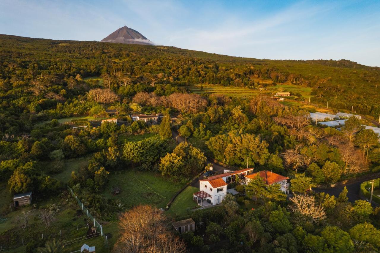 Quinta Das Almas Са́н-Ро́ке-ду-Пі́ку Екстер'єр фото